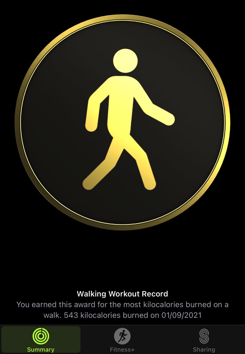 1 Walking Record Award