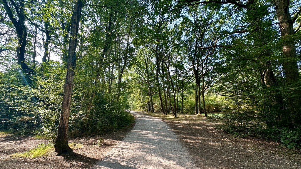 A wide gravel footway stretching forward and curving gently to the left through a woodland area, surrounded by tall leafy trees with dappled sunlight casting soft shadows across the path and illuminating a grassy clearing on the right.
