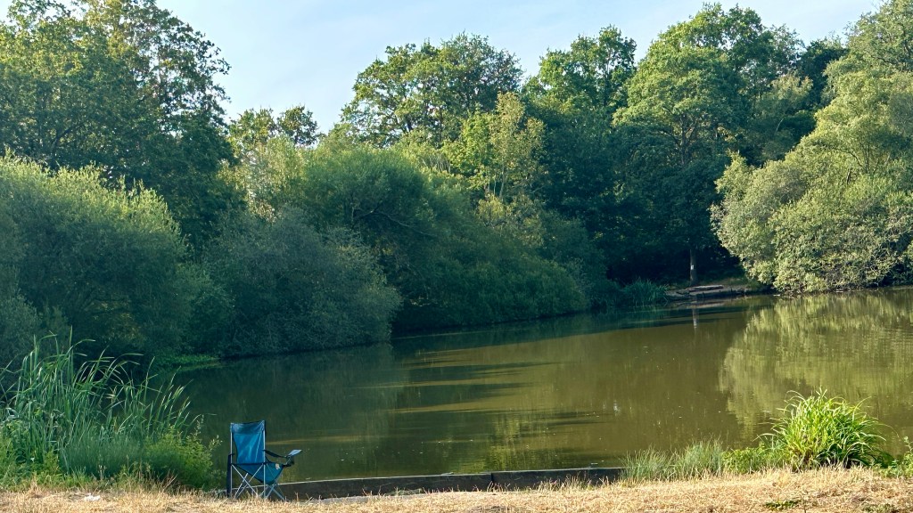 A peaceful countryside pond surrounded by mature green trees and dense shrubs on a bright summer morning. The calm, still water reflects the surrounding woodland and patches of blue sky, creating a mirror-like effect across the surface. In the foreground, a strip of dry, sun-bleached grass borders the water's edge, where a single blue folding camping chair sits facing the tranquil pond. Reeds and grasses frame the left and right edges of the scene, while soft sunlight illuminates the treetops, giving the landscape a calm and reflective atmosphere.
