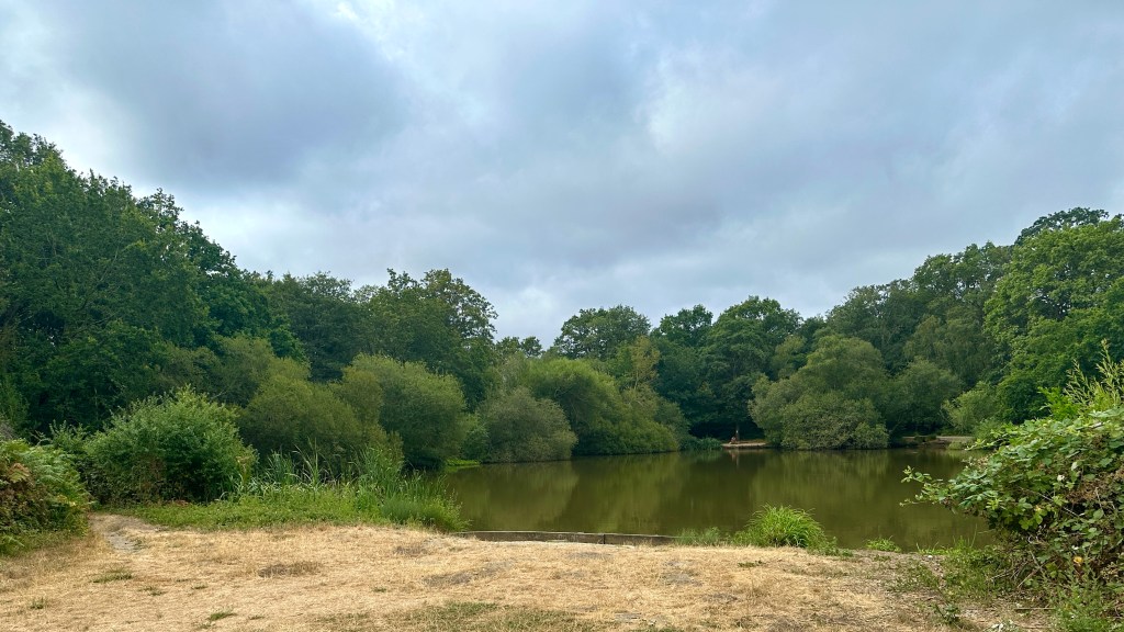 A wide, tranquil pond surrounded by dense green forest under an overcast gray sky, viewed from a dry, light-brown grassy bank in the foreground. Low reeds, leafy green bushes, and brambles line the foreground edge, while the calm, brownish water reflects the dark silhouettes of the lush tree line encircling the far banks of the lake.