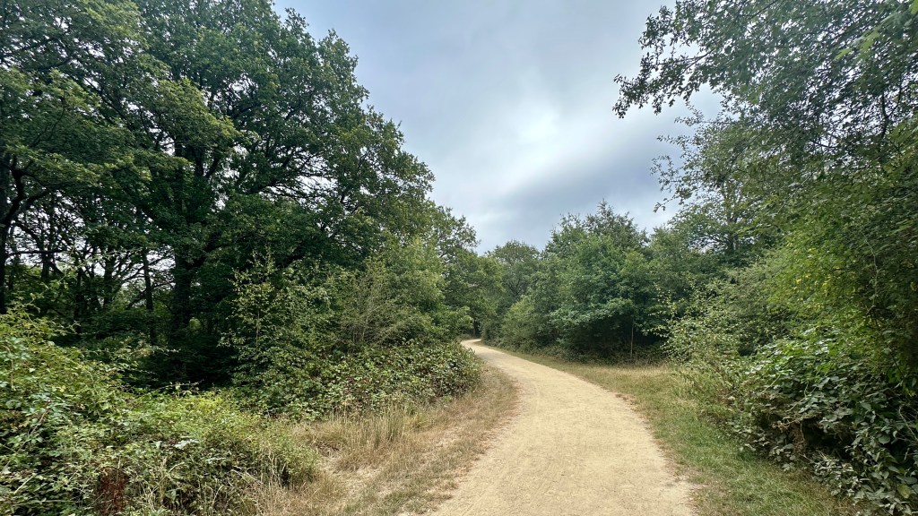 A smooth, light-colored gravel path curves gently to the left through a lush woodland landscape under a cloudy sky. Thick green bushes, wild brambles, and tall mature trees line both sides of the path, creating a clear and inviting walking trail that winds gracefully out of sight into the surrounding forest.