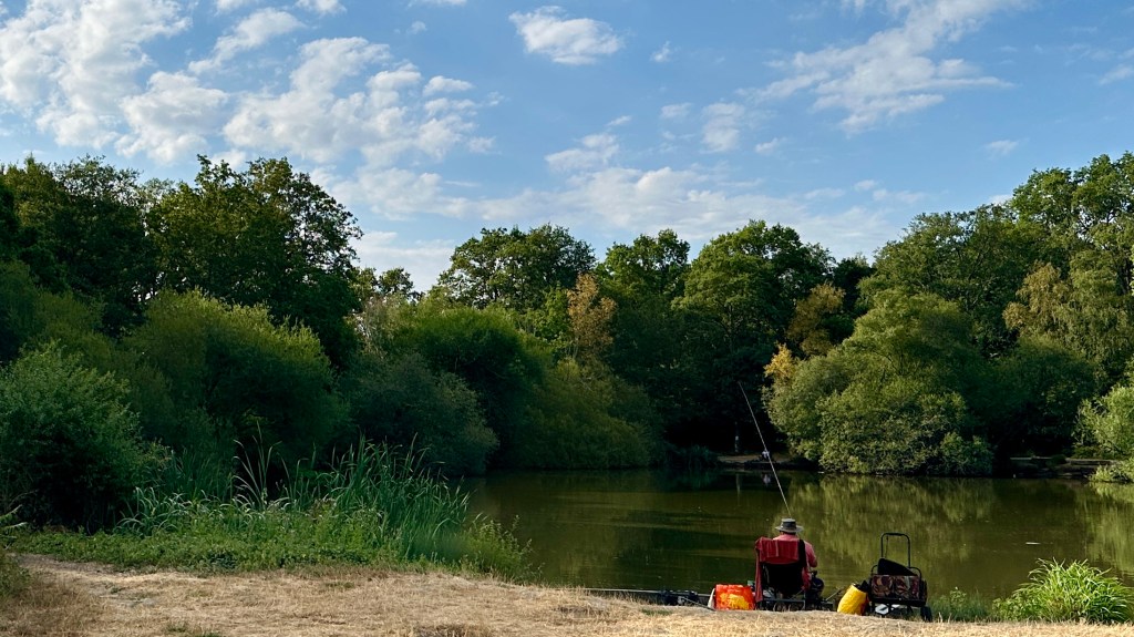 This is a tighter, more intimate shot of the same location, focused on the fishing spot by the water. The sky is again bright blue with scattered fluffy white clouds. A dense wall of green trees and leafy bushes fills the background across the far bank of the pond; the water itself is still and a murky olive-green, reflecting some of the trees.
In the lower right foreground a person is seated in a folding chair facing the water, back mostly toward the camera. They are wearing a red short-sleeved top and a light-coloured wide-brimmed hat. A fishing rod is held upright, its tip pointing up into the sky. Around the chair are various items of tackle and equipment: a bright red bag or bag with a yellow circular design, a yellow soft bag or cool-box, a camouflage-patterned bag or seat, and a black trolley or stand with wheels. The near bank is dry, pale yellowish grass and earth, with taller green reeds and grasses growing along the waterβs edge on the left. The overall mood is quiet and focusedβsomeone settled in for a peaceful dayβs fishing under a sunny sky.