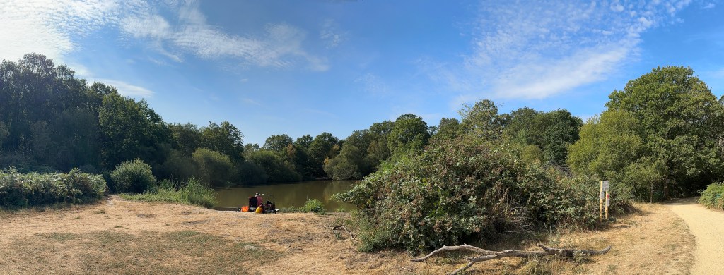 This is a wide, horizontal landscape photo taken on a bright, sunny day. The sky fills the upper half and is a clear, vivid blue with scattered, soft white clouds that look wispy and stretched. Below the sky is a dense line of mature green trees and bushes that form a continuous backdrop all the way across the horizon; the foliage is full and lush in varying shades of deep and bright green.
In the middle distance sits a calm, greenish-brown pond or small lake whose surface is still and slightly reflective. The water is partly framed by reeds and low vegetation along the near bank. On the left-to-centre shore, just at the waterβs edge, is a small fishing setup: a dark chair or seat with someone sitting in it (mostly seen from behind or side), bright orange and yellow bags or tackle boxes, and fishing rods. The ground in the foreground is dry, patchy, pale yellowish-brown grass and bare earth that slopes gently down toward the water. A few fallen branches lie on the ground in the lower right. On the far right a light-coloured dirt or gravel path curves away into the trees, with a wooden post and a couple of small signs standing beside it. Overall the scene feels peaceful, open, and rural on a warm, clear day.