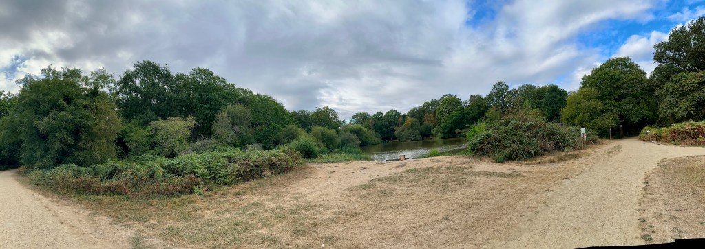 Foreground & Paths: The image features a wide, open clearing in the foreground with dry, sandy ground and patches of pale grass. Dirt and gravel walking paths curve around both the left and right edges, leading further into the park or trail network.

Central Water Feature: In the mid-ground, a quiet pond rests surrounded by lush greenery, reeds, and low shrubs along its banks. A small wooden post or structure sits near the edge of the water.

Surrounding Woodland: Dense, mature deciduous trees surround the pond area, forming a full green wall of foliage around the perimeter.

Atmosphere & Lighting: The sky is filled with soft, overcast gray clouds with patches of bright blue breaking through on the right, casting soft, diffused sunlight across the landscape.