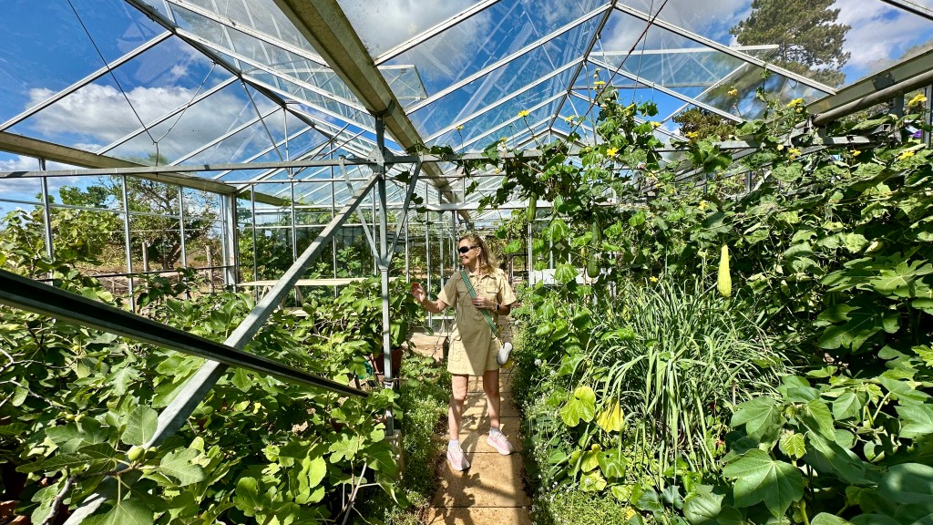 Alt Text: A blonde woman in sunglasses, a beige utility dress, and pink sneakers walks down a stone path inside a large glass greenhouse filled with vibrant green, climbing vines and potted plants under a sunny blue sky.