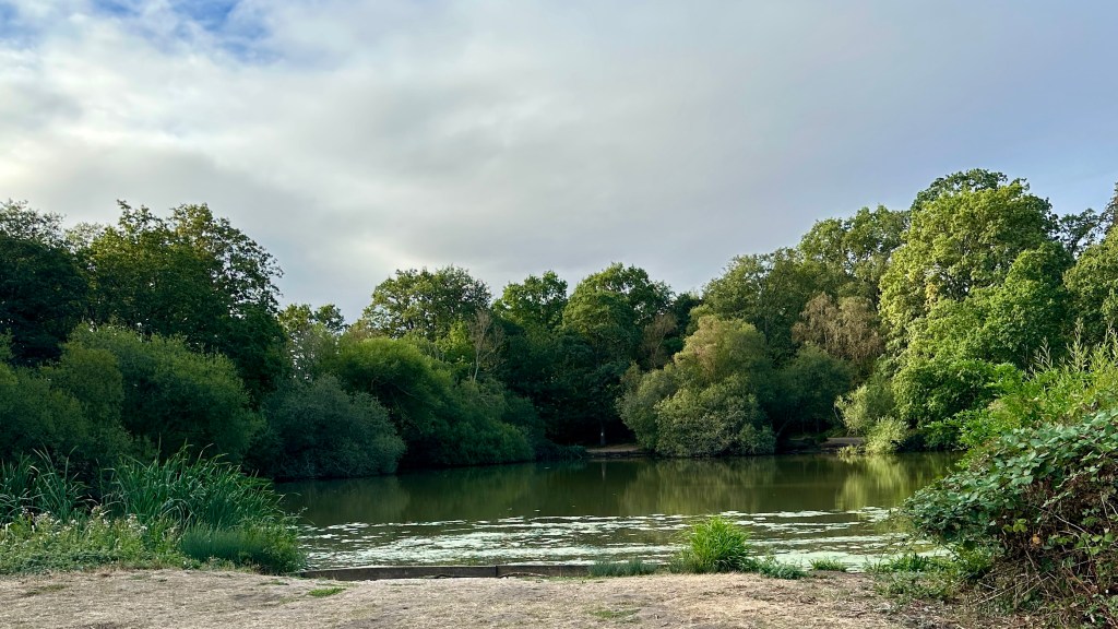 A tranquil, calm pond surrounded by dense green trees under an overcast, light blue sky. Lush vegetation and reeds frame the foreground near the water's edge.