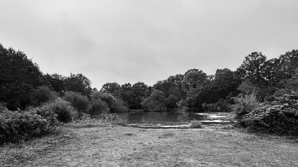 Detailed: A wide black and white photograph showing a clearing leading to a quiet, reflective pond. The water is framed by a dense tree line in the background and thick wild shrubs on both sides, set under an overcast, hazy sky.
