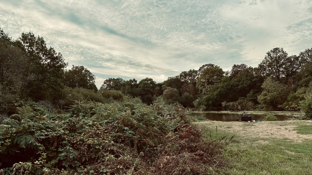 A wide landscape photograph of Stew Pond on a calm morning. In the foreground, dense, low-lying green brambles and ferns fill the left side of the frame. To the right, a grassy bank slopes gently toward the water. On the far right shoreline, a person is seated in a dark folding chair near the water’s edge. Across the calm, dark surface of the pond, a thick tree line of mature green oaks and woodland stretches end-to-end under an overcast, textured sky filled with soft white and gray clouds.