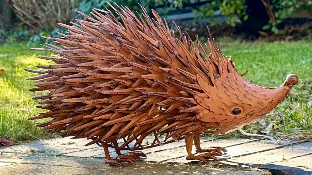 A close-up photograph of Boss Hog, a quirky garden hedgehog sculpture made from rusty brown metal, standing on a stone patio in the garden. He has an elongated pointed face, a shiny dark eye, four little metal feet and an impressive covering of long, jagged metal spikes forming his prickly back. Green grass and garden foliage provide the background as he settles into his new home.