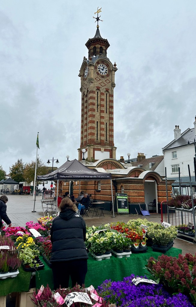 Alt text: Full view of the Victorian red and yellow brick Epsom Clock Tower featuring a belfry, weather vane, and large clock faces. In the foreground, colorful flower stalls display purple heather, potted plants, and chrysanthemums. A person stands facing away from the camera looking at the flowers, while an "ORGANICO" market tent with outdoor cafe seating sits near the base of the clock tower under a cloudy sky.