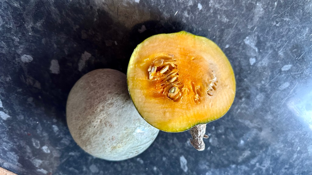 Alt Text: A top-down close-up view resting on a dark mottled gray countertop, featuring a whole round squash on the left and a halved squash on the right. The halved squash reveals a vibrant bright orange flesh, a core filled with seeds and fibrous pulp, and a thin green outer skin with its short stem attached.
